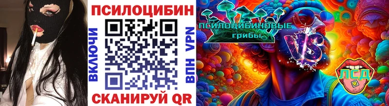 Галлюциногенные грибы Psilocybe  Приволжск 