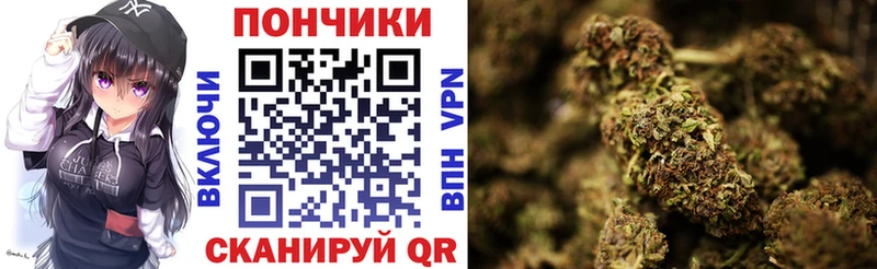 закладка  мега tor  МАРИХУАНА SATIVA & INDICA  Приволжск 